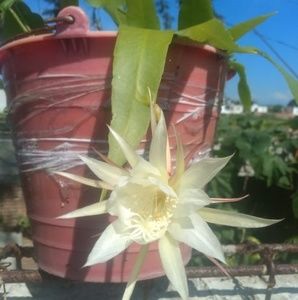 Meet your Posher, Bernardo